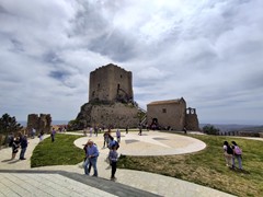 IMG_20250504_114228