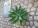 IMG_20250607_193422