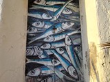 IMG_20250607_193723
