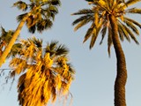 IMG_20250607_194019