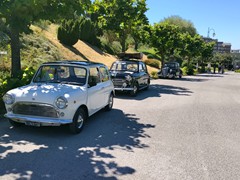IMG_20260613_100312