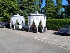 IMG_20260614_090006