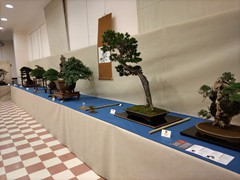 IMG_20240929_085020