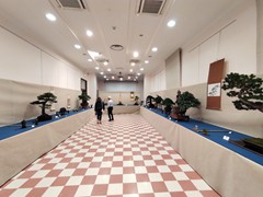 IMG_20240929_085030