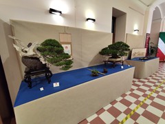 IMG_20240929_085050