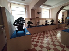 IMG_20240929_085059