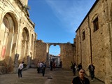 IMG_20241110_124057