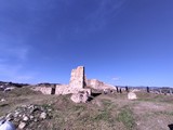 IMG_20241110_125648